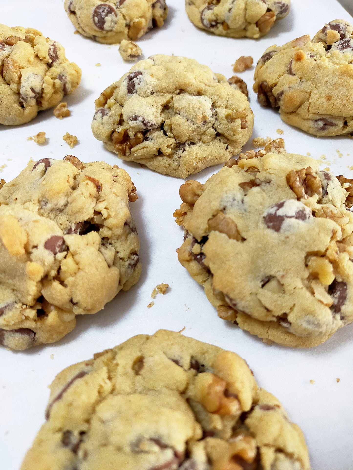 The Chocolate and walnut chunk
